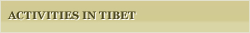 tibet activities